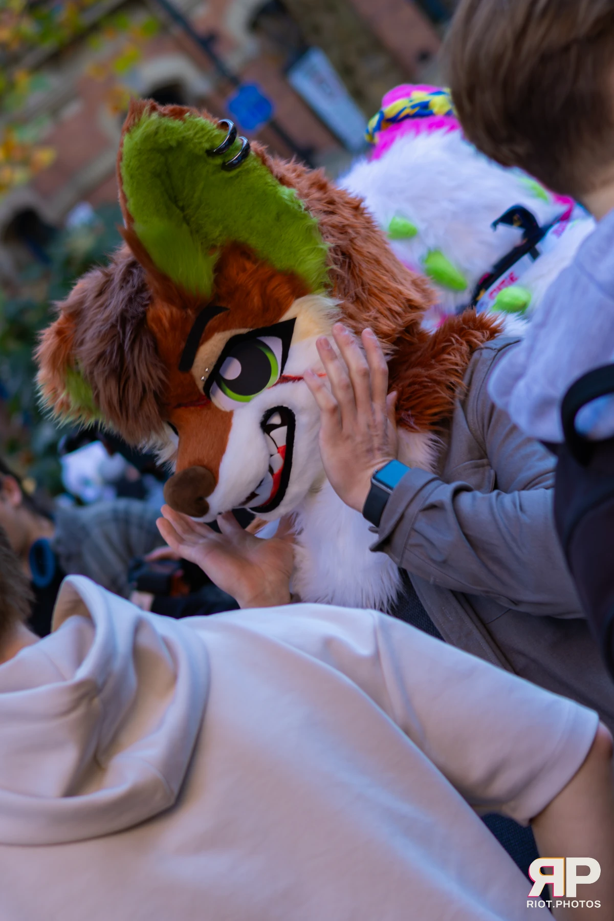 MancFurs - November, 2025 — 08 Nov 2025, Fluffy Riot photography — photo 58