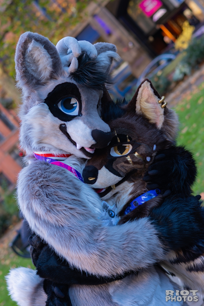 2025-11-08 MancFurs-202511-059.jpg