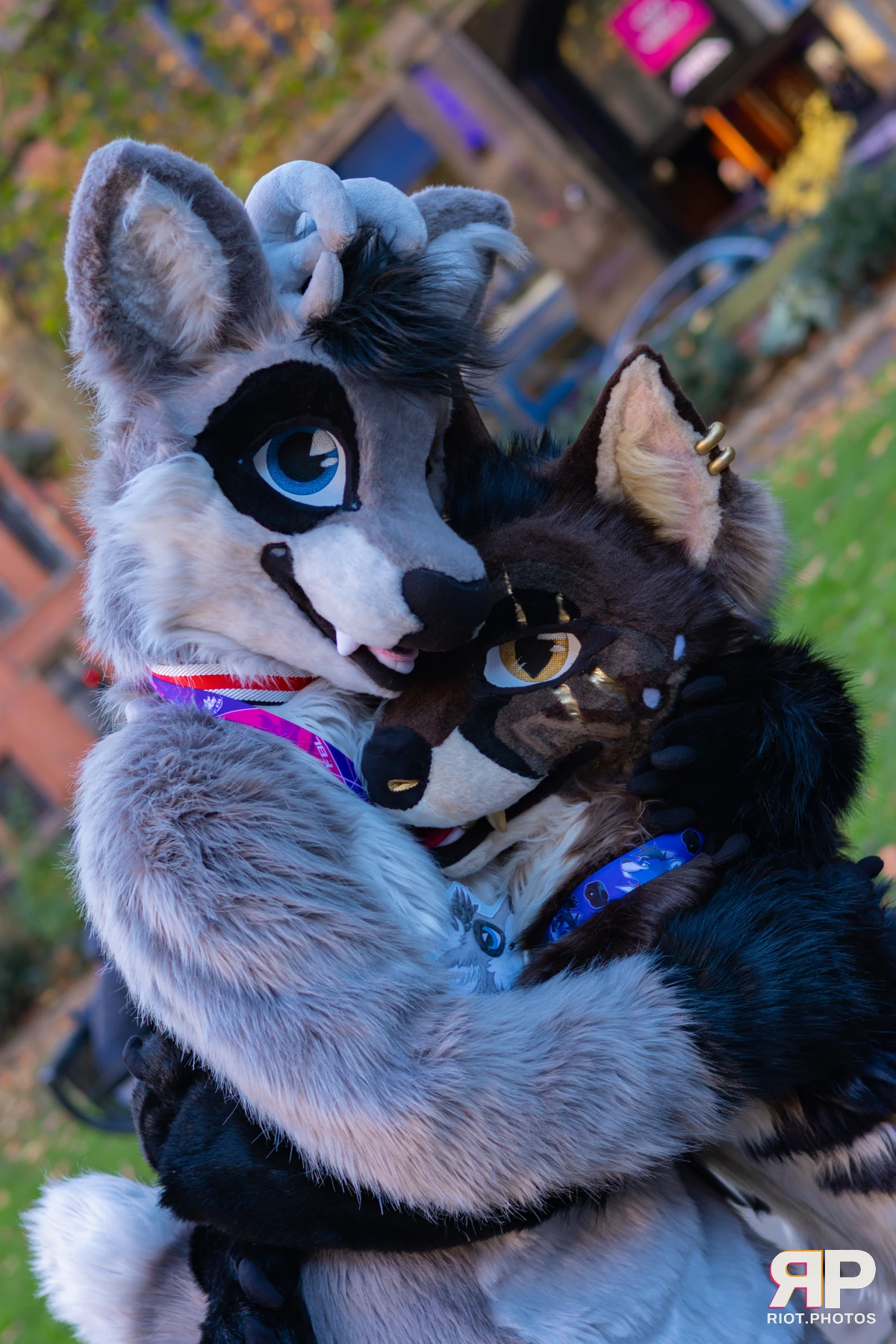 MancFurs - November, 2025 — 08 Nov 2025, Fluffy Riot photography — photo 59