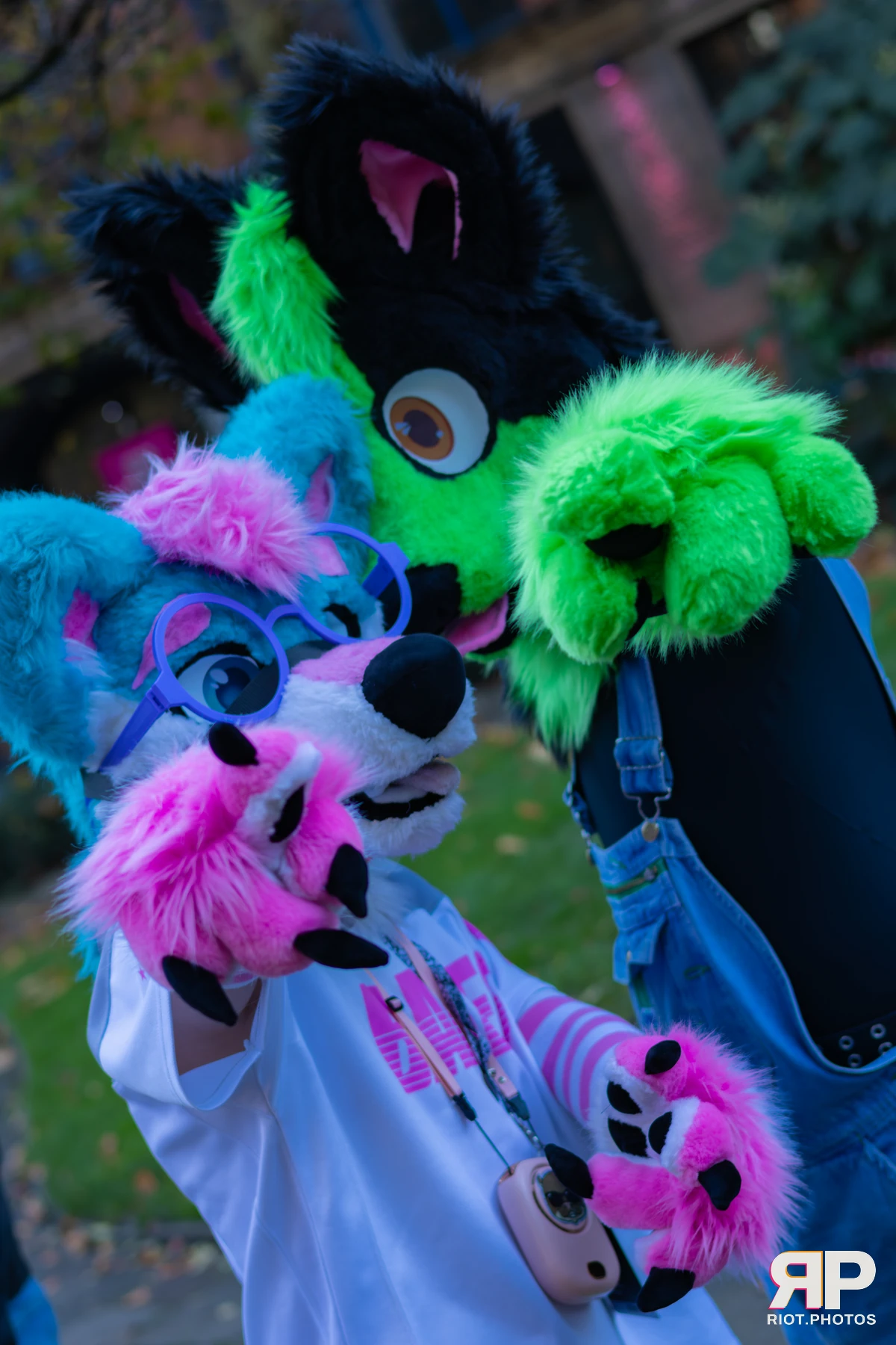 Pup Kaz — furry & pup photography by Fluffy Riot — photo 268