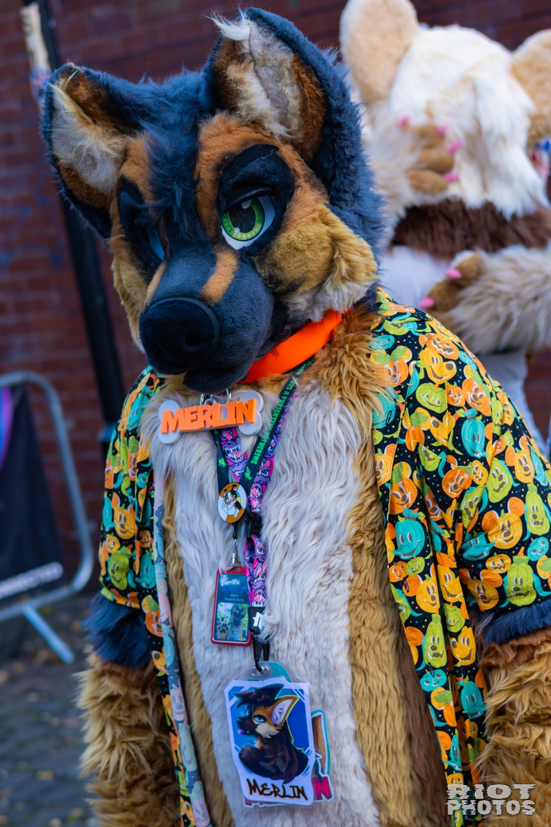 2025-11-08 MancFurs-202511-065.jpg