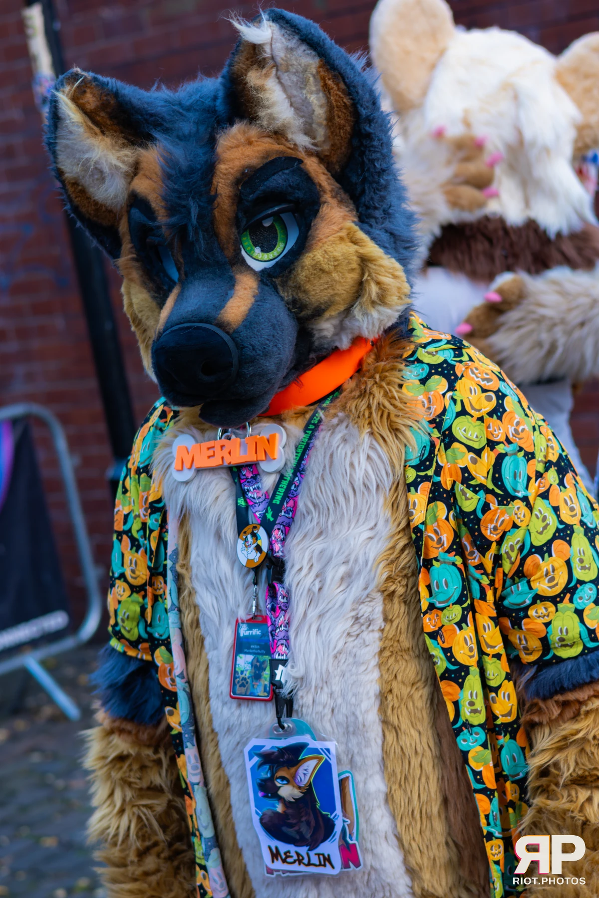 MancFurs - November, 2025 — 08 Nov 2025, Fluffy Riot photography — photo 65