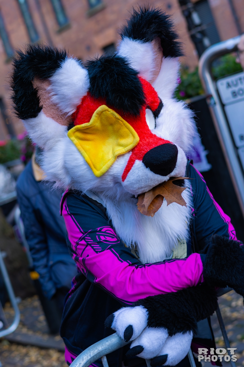 2025-11-08 MancFurs-202511-066.jpg