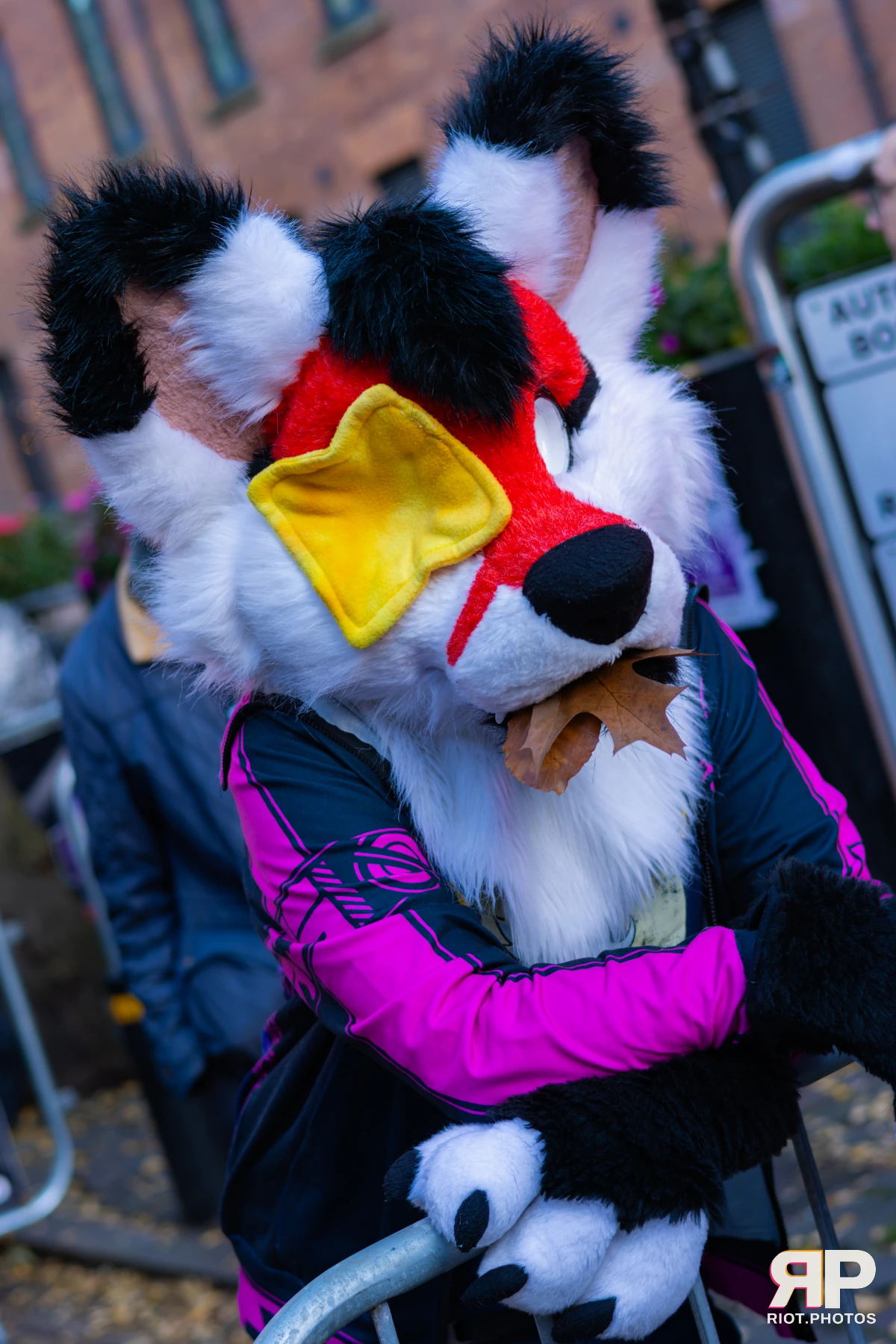 MancFurs - November, 2025 — 08 Nov 2025, Fluffy Riot photography — photo 66