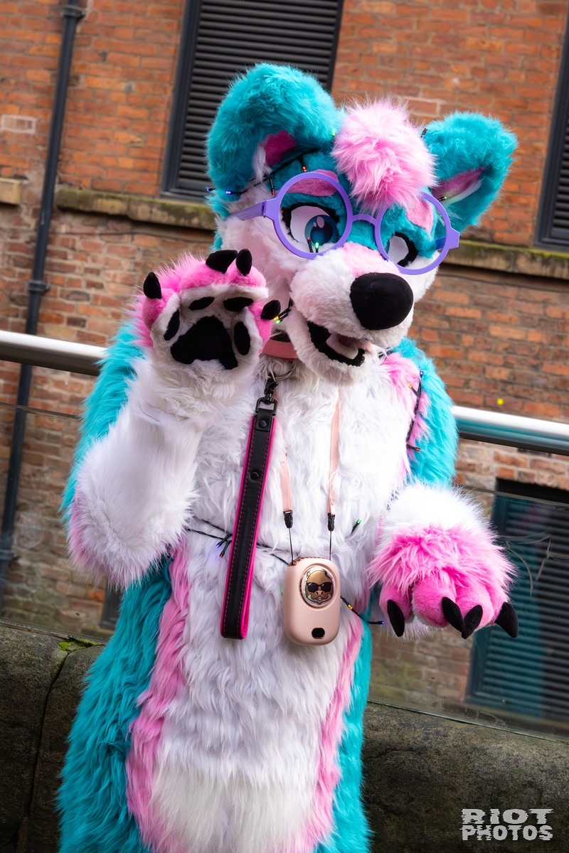 2025-12-13 MancFurs-202512-001.jpg