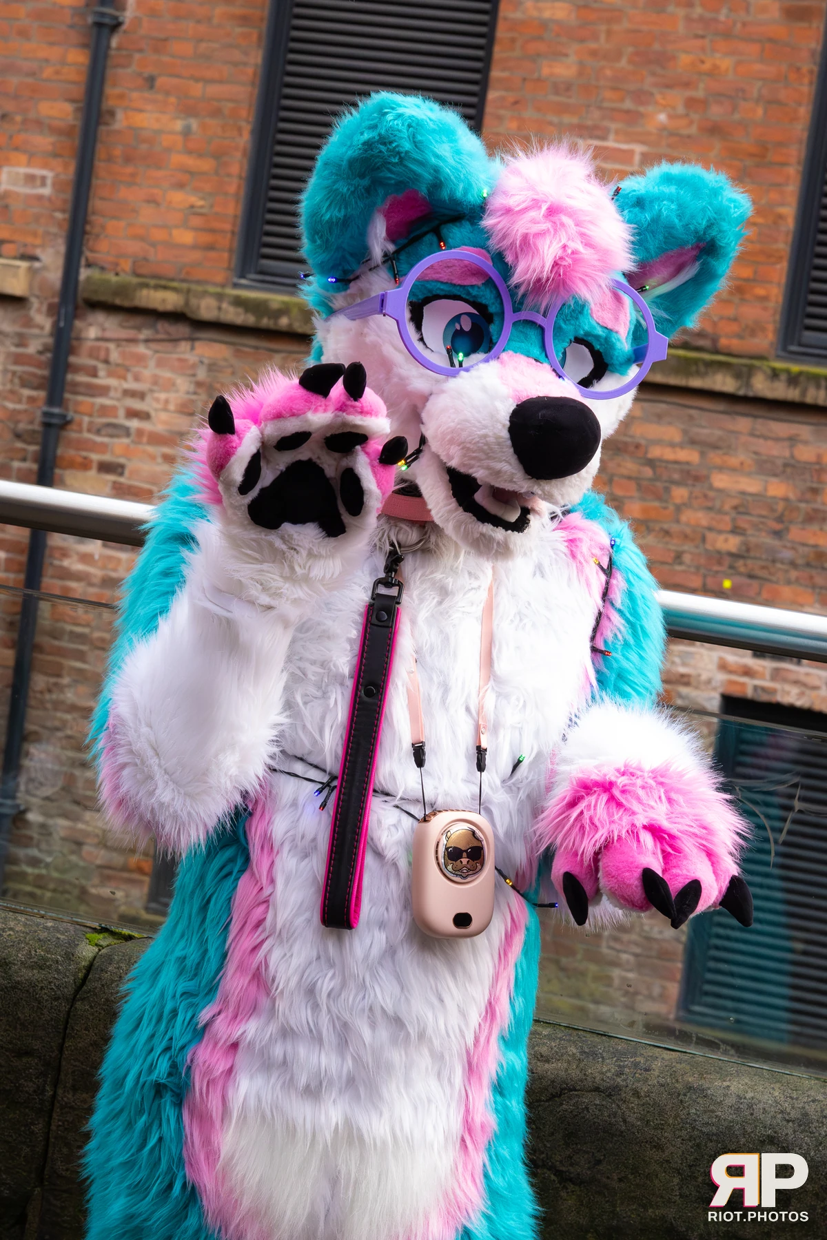 Pup Kaz — furry & pup photography by Fluffy Riot — photo 207