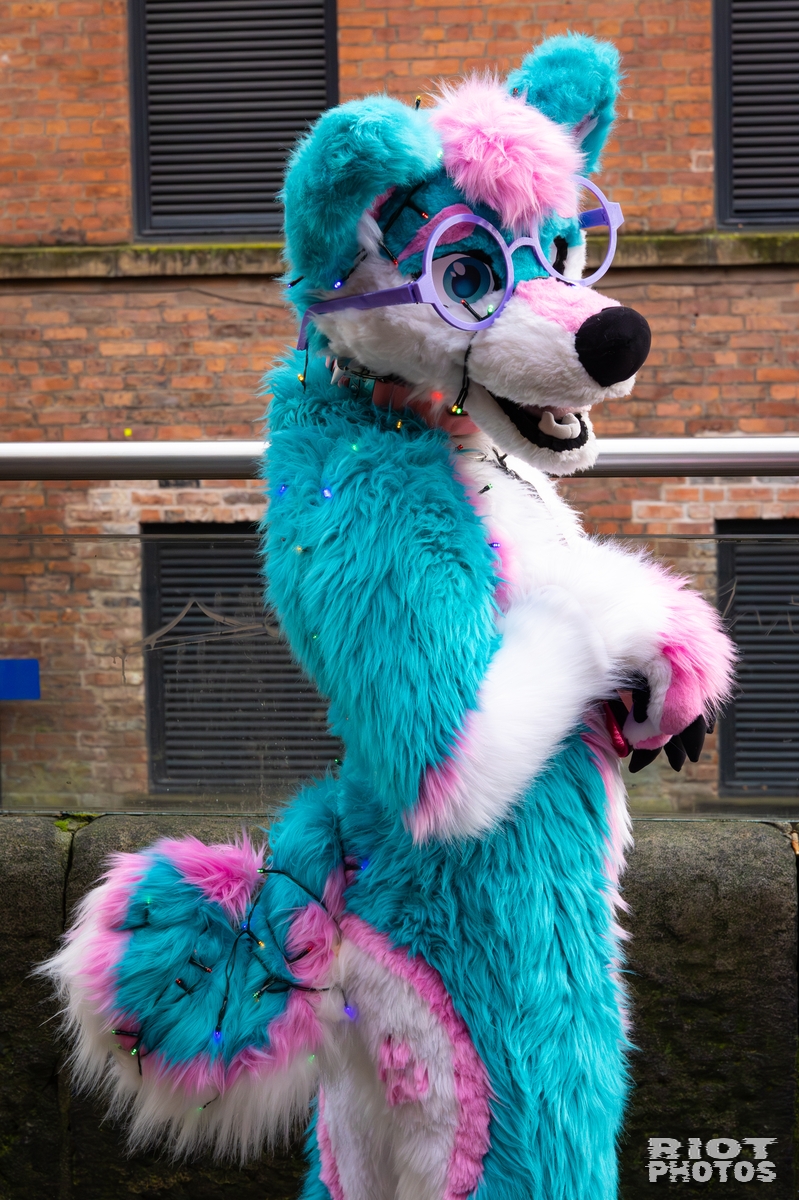 2025-12-13 MancFurs-202512-002.jpg