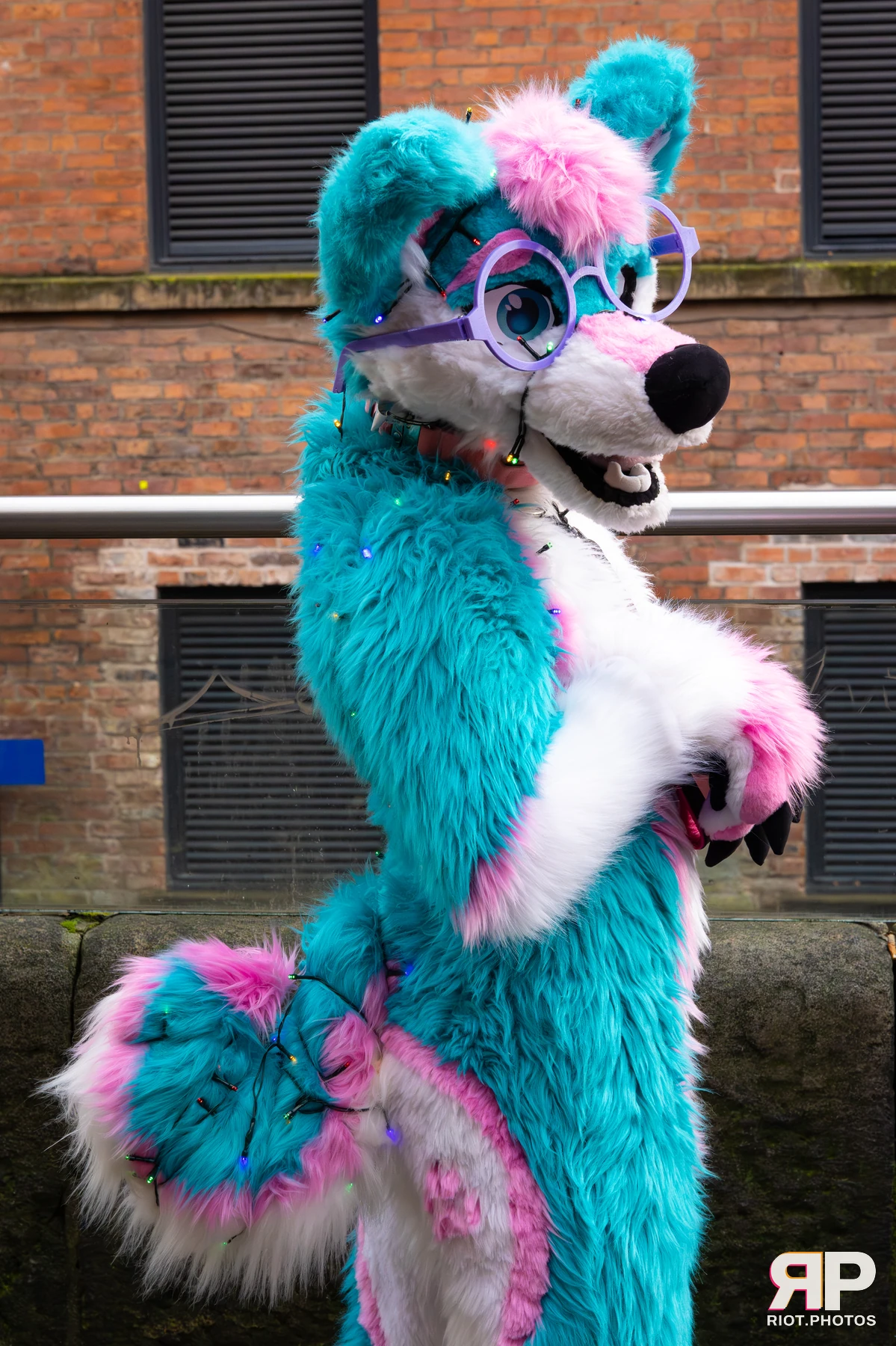 Pup Kaz — furry & pup photography by Fluffy Riot — photo 208