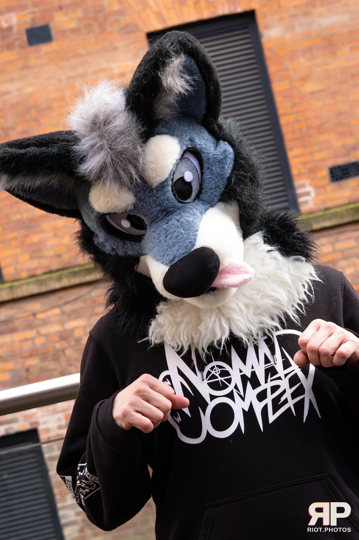 Pup Nathan — furry & pup photography by Fluffy Riot — photo 18