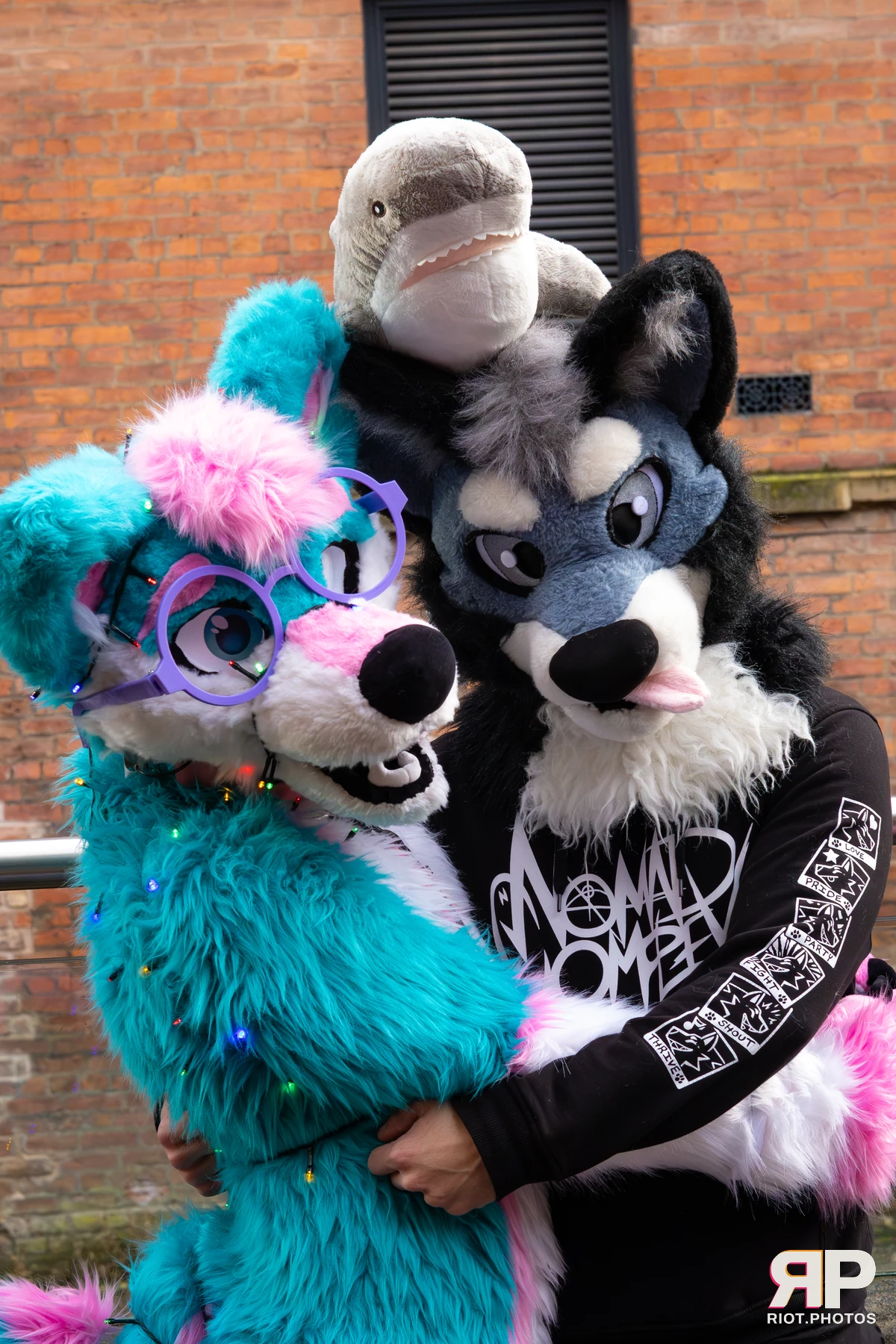 Pup Nathan — furry & pup photography by Fluffy Riot — photo 20