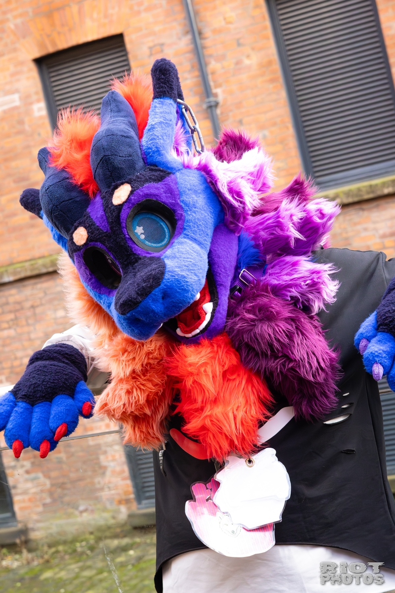 2025-12-13 MancFurs-202512-009.jpg