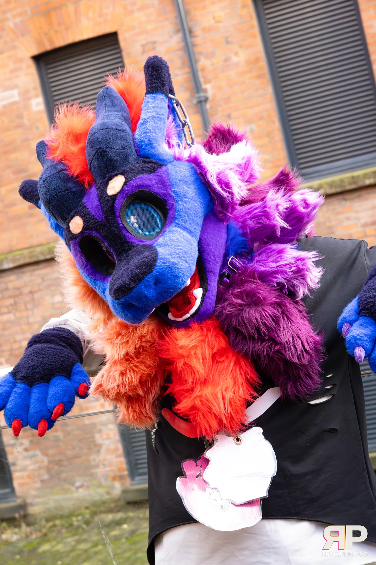 MancFurs - December, 2025 — 13 Dec 2025, Fluffy Riot photography — photo 9