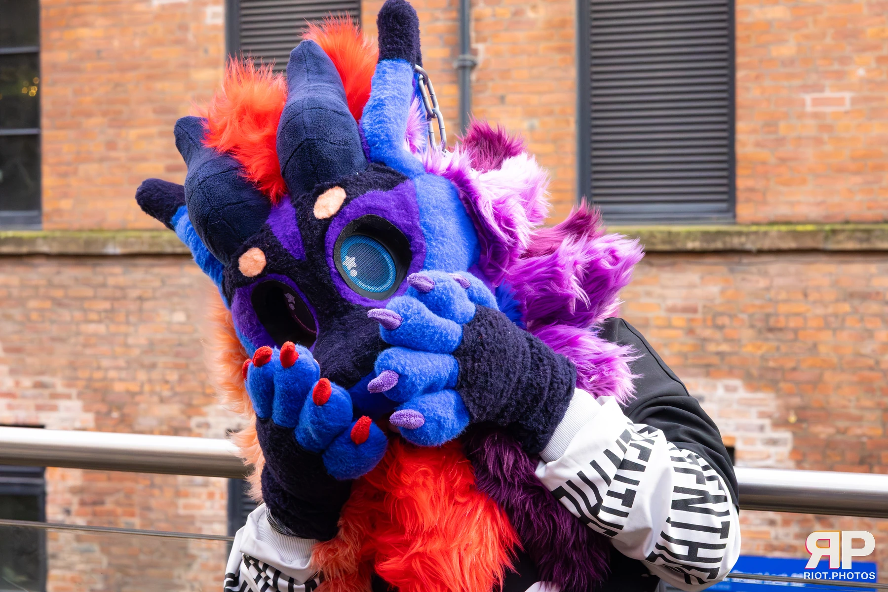 MancFurs - December, 2025 — 13 Dec 2025, Fluffy Riot photography — photo 10