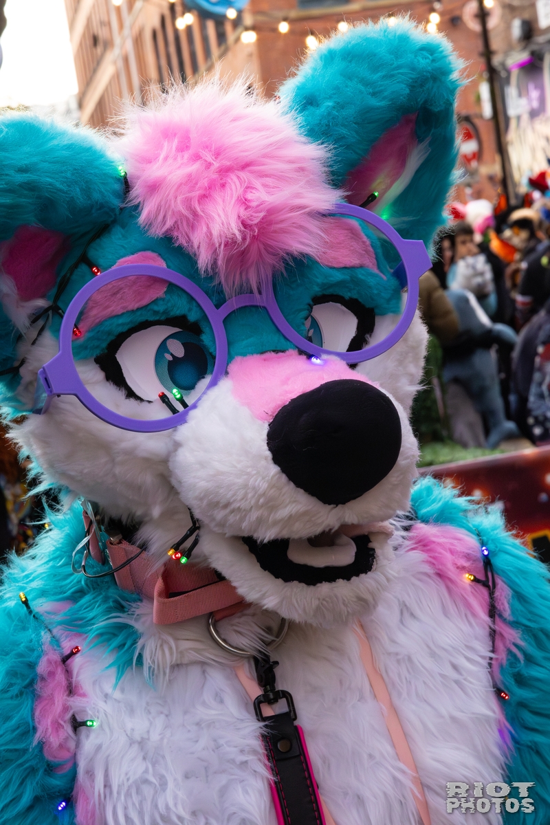2025-12-13 MancFurs-202512-011.jpg