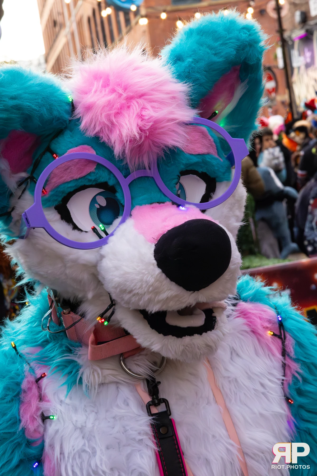 Pup Kaz — furry & pup photography by Fluffy Riot — photo 210