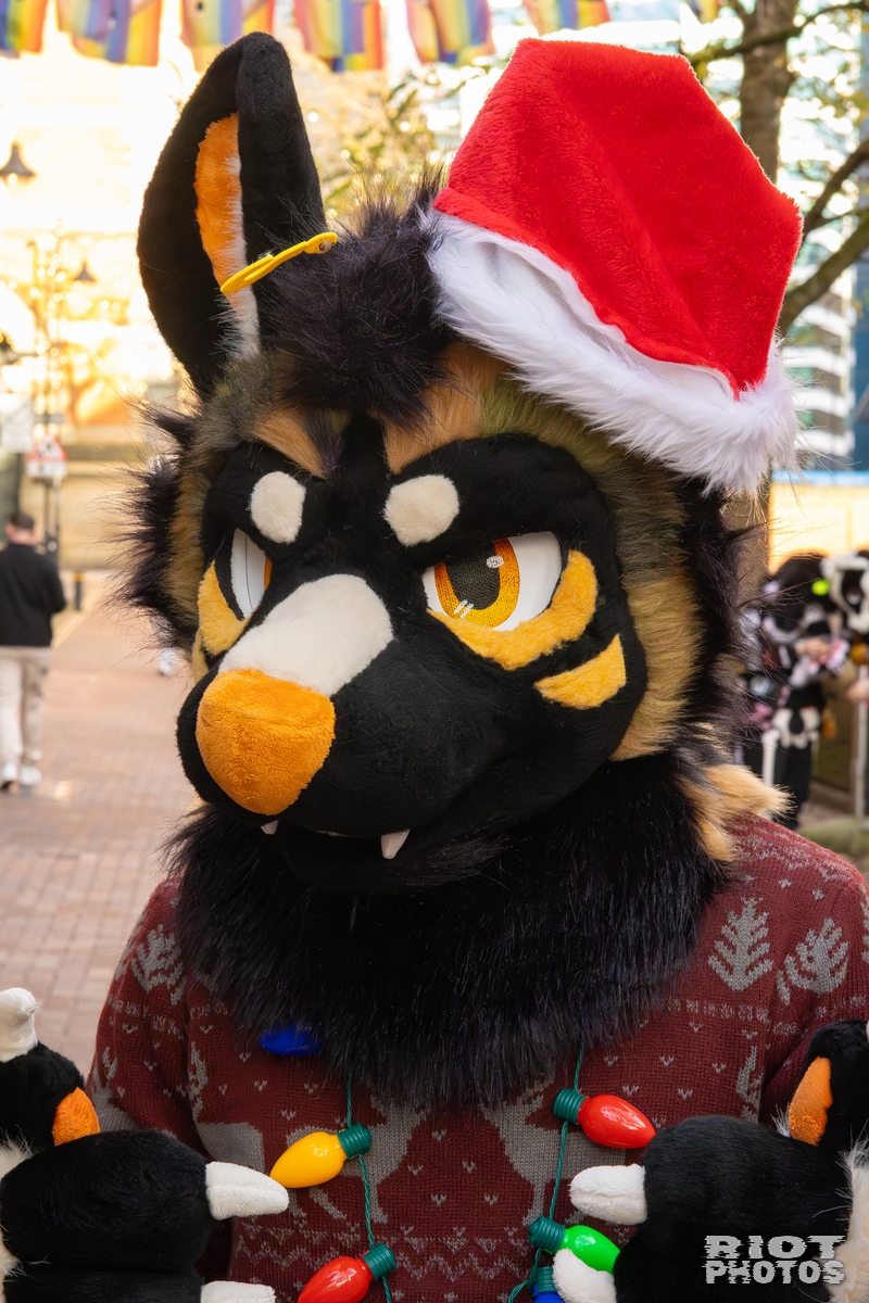 2025-12-13 MancFurs-202512-013.jpg
