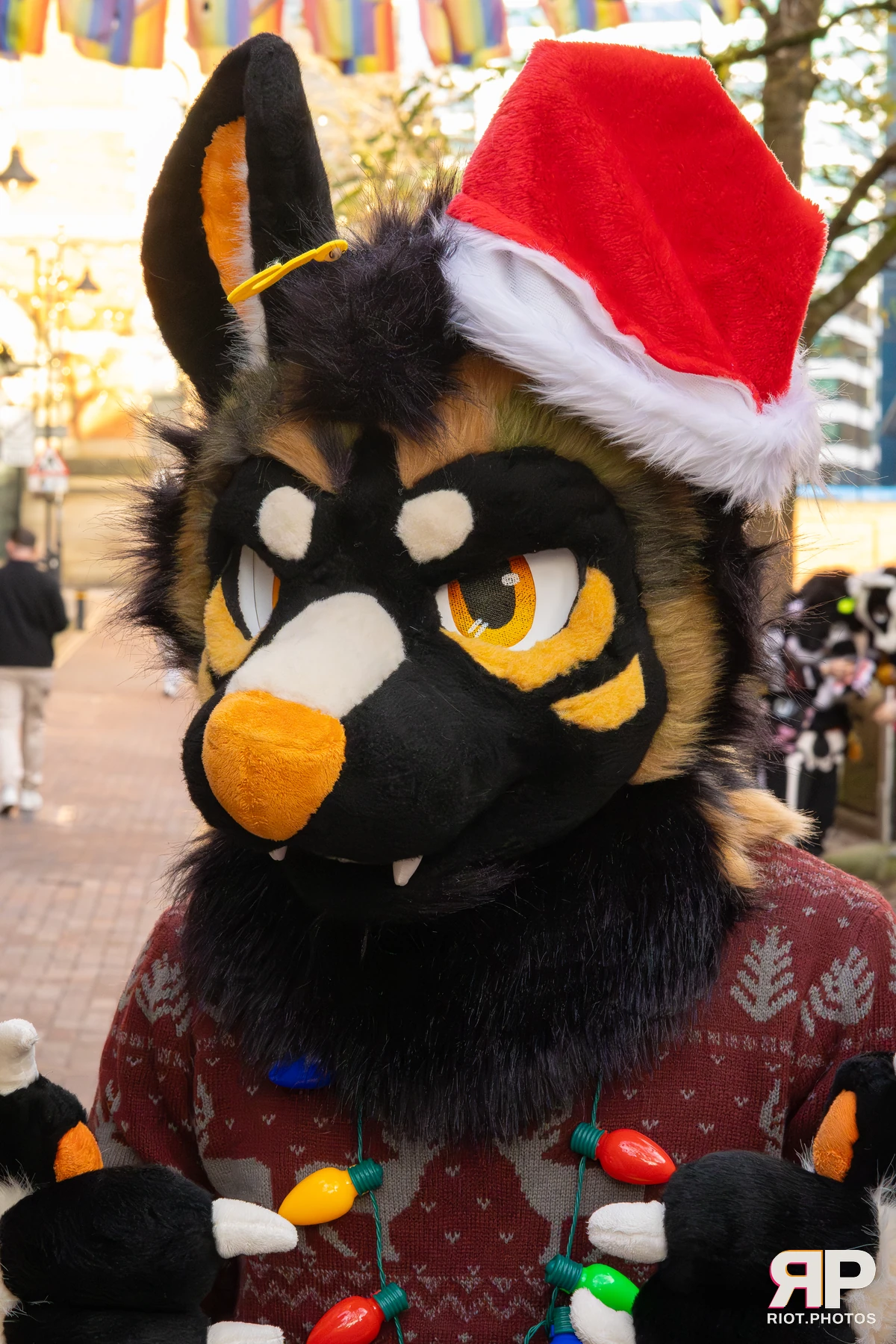 MancFurs - December, 2025 — 13 Dec 2025, Fluffy Riot photography — photo 13