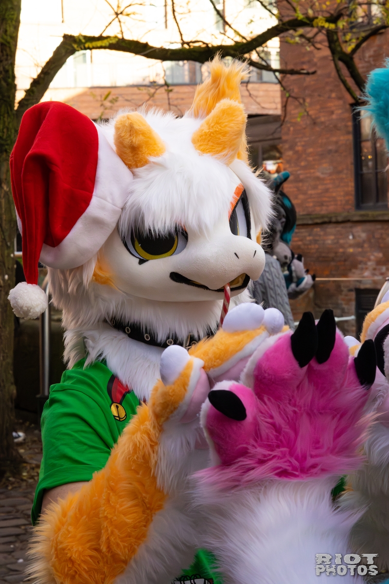 2025-12-13 MancFurs-202512-014.jpg