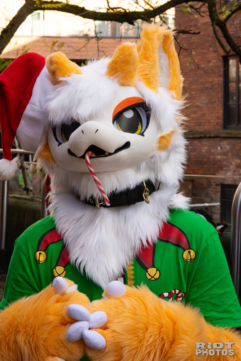 2025-12-13 MancFurs-202512-015.jpg
