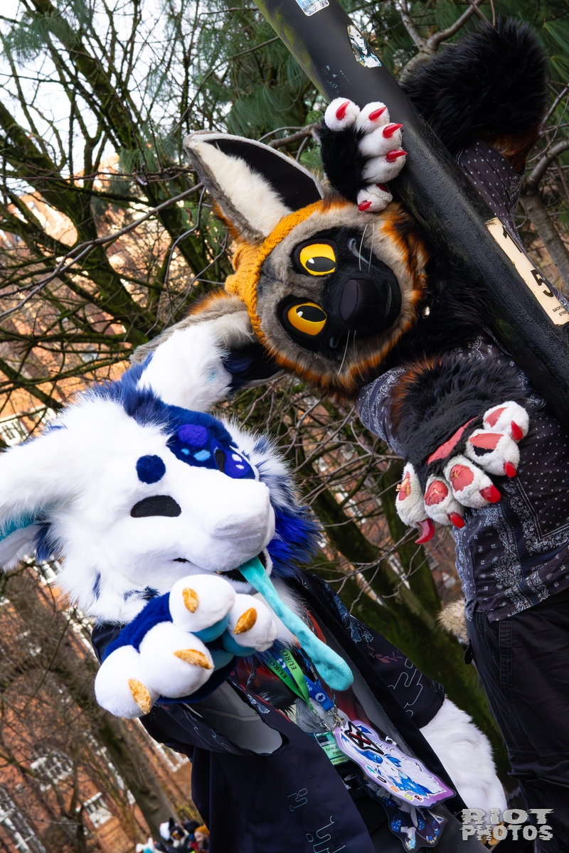 2025-12-13 MancFurs-202512-016.jpg