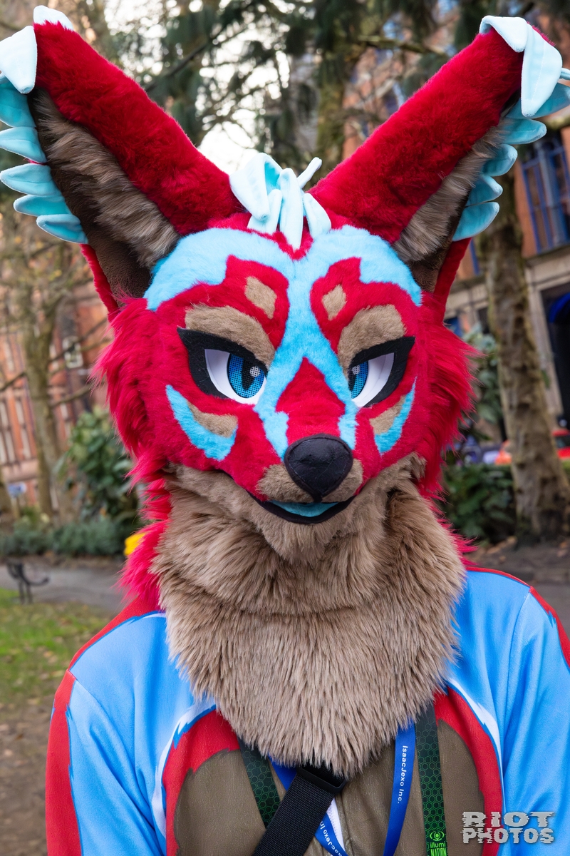 2025-12-13 MancFurs-202512-020.jpg