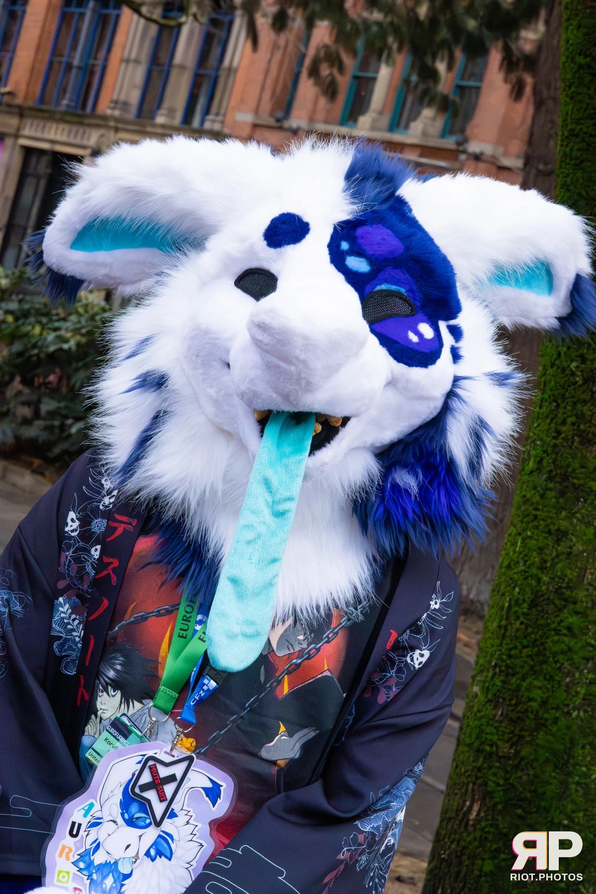MancFurs - December, 2025 — 13 Dec 2025, Fluffy Riot photography — photo 21