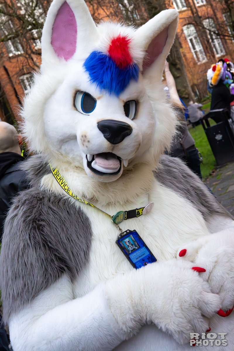 2025-12-13 MancFurs-202512-023.jpg