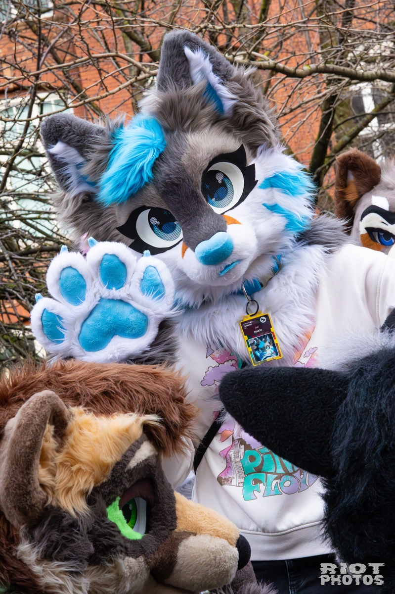 2025-12-13 MancFurs-202512-024.jpg