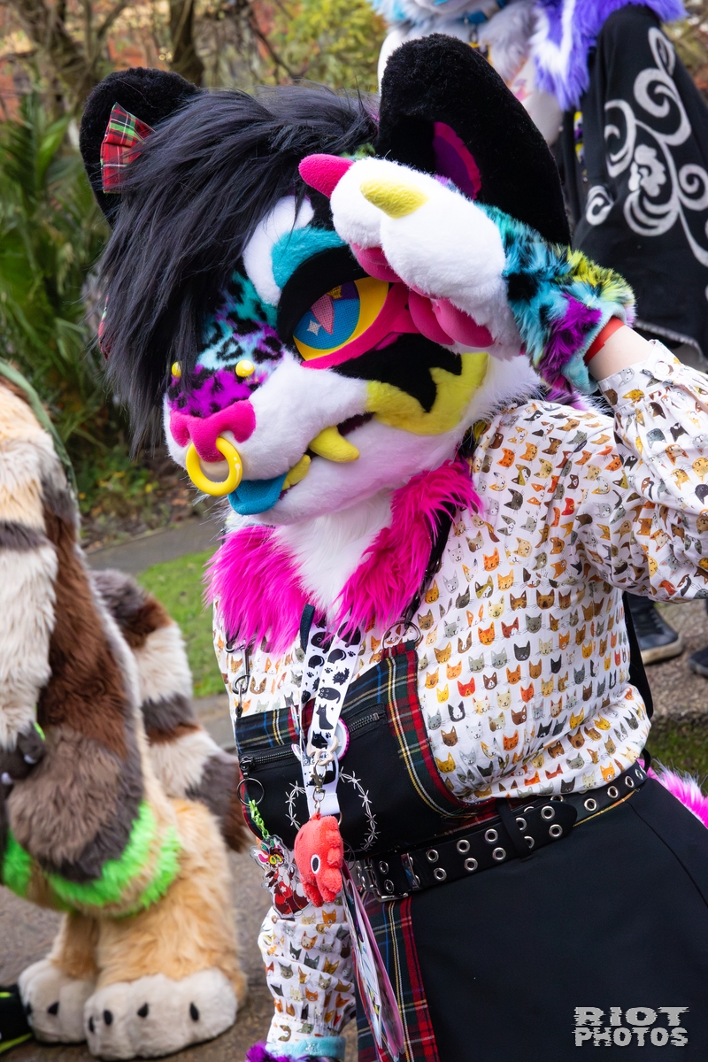 2025-12-13 MancFurs-202512-025.jpg