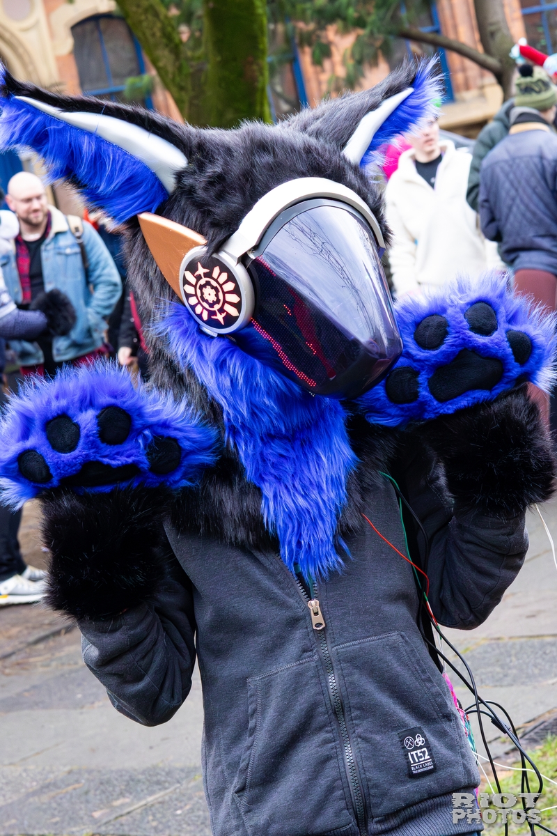 2025-12-13 MancFurs-202512-030.jpg