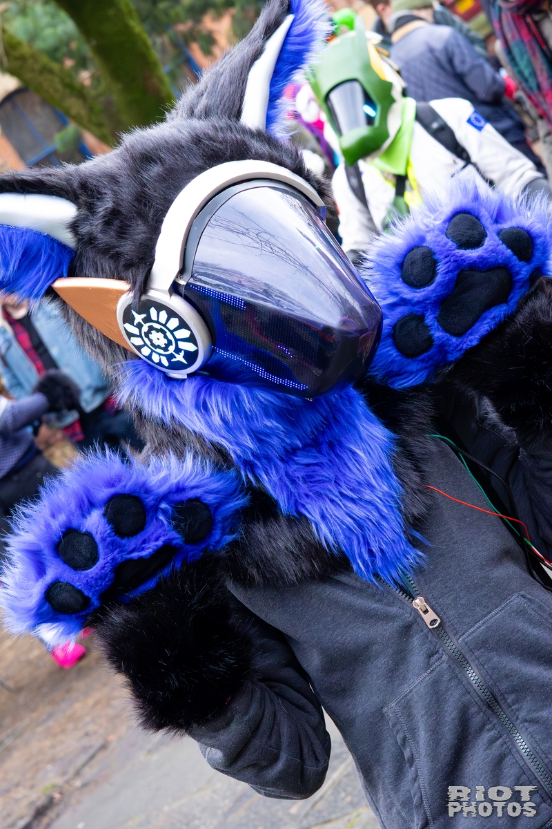 2025-12-13 MancFurs-202512-031.jpg