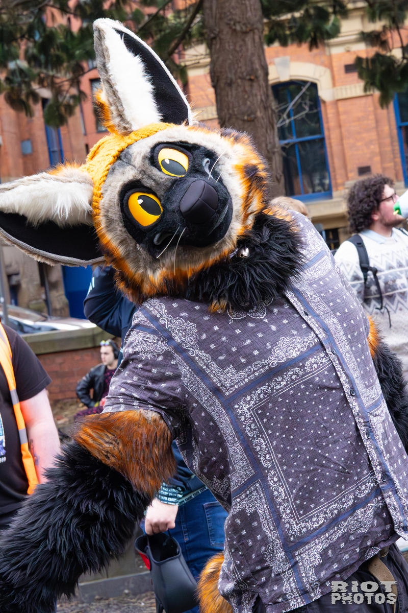 2025-12-13 MancFurs-202512-032.jpg