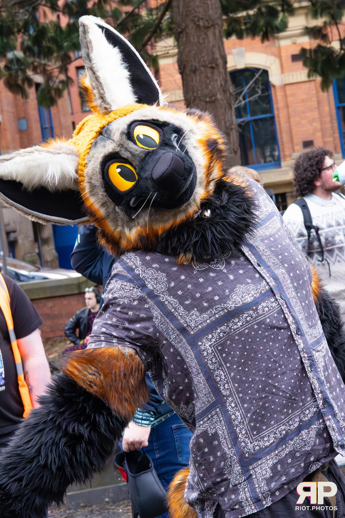 MancFurs - December, 2025 — 13 Dec 2025, Fluffy Riot photography — photo 32