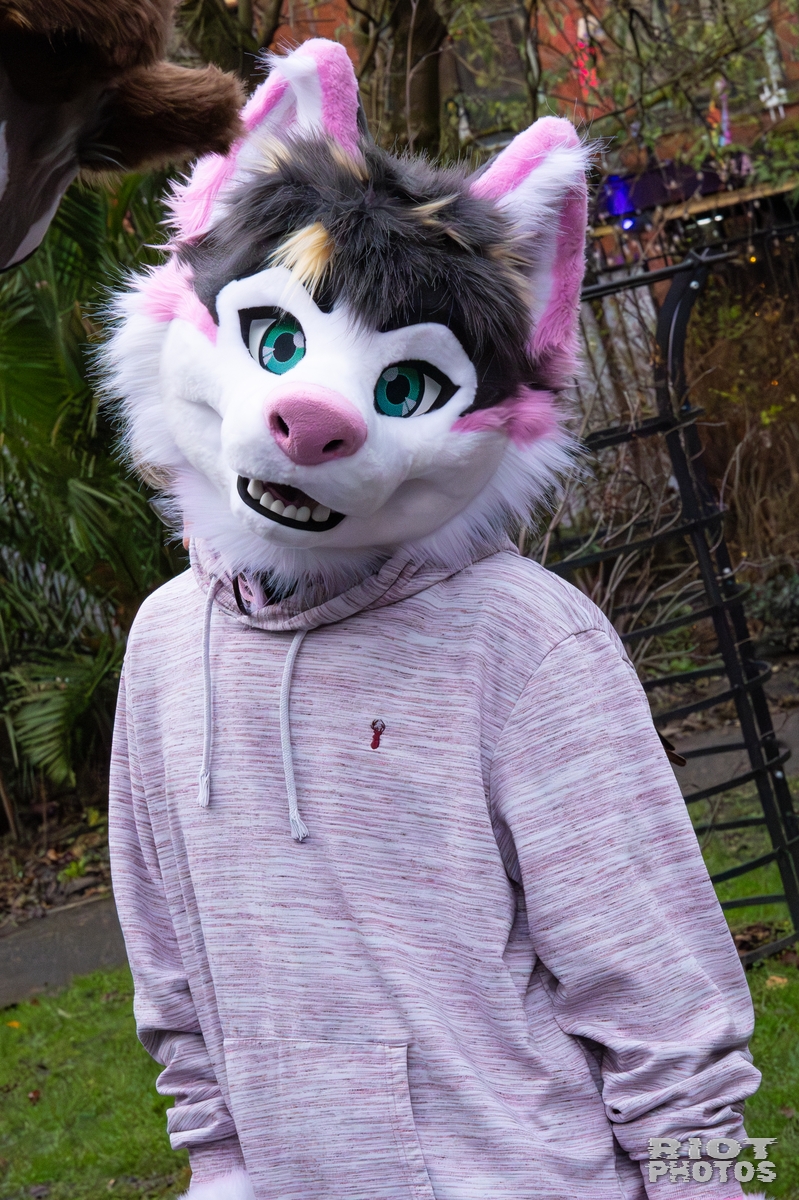 2025-12-13 MancFurs-202512-033.jpg