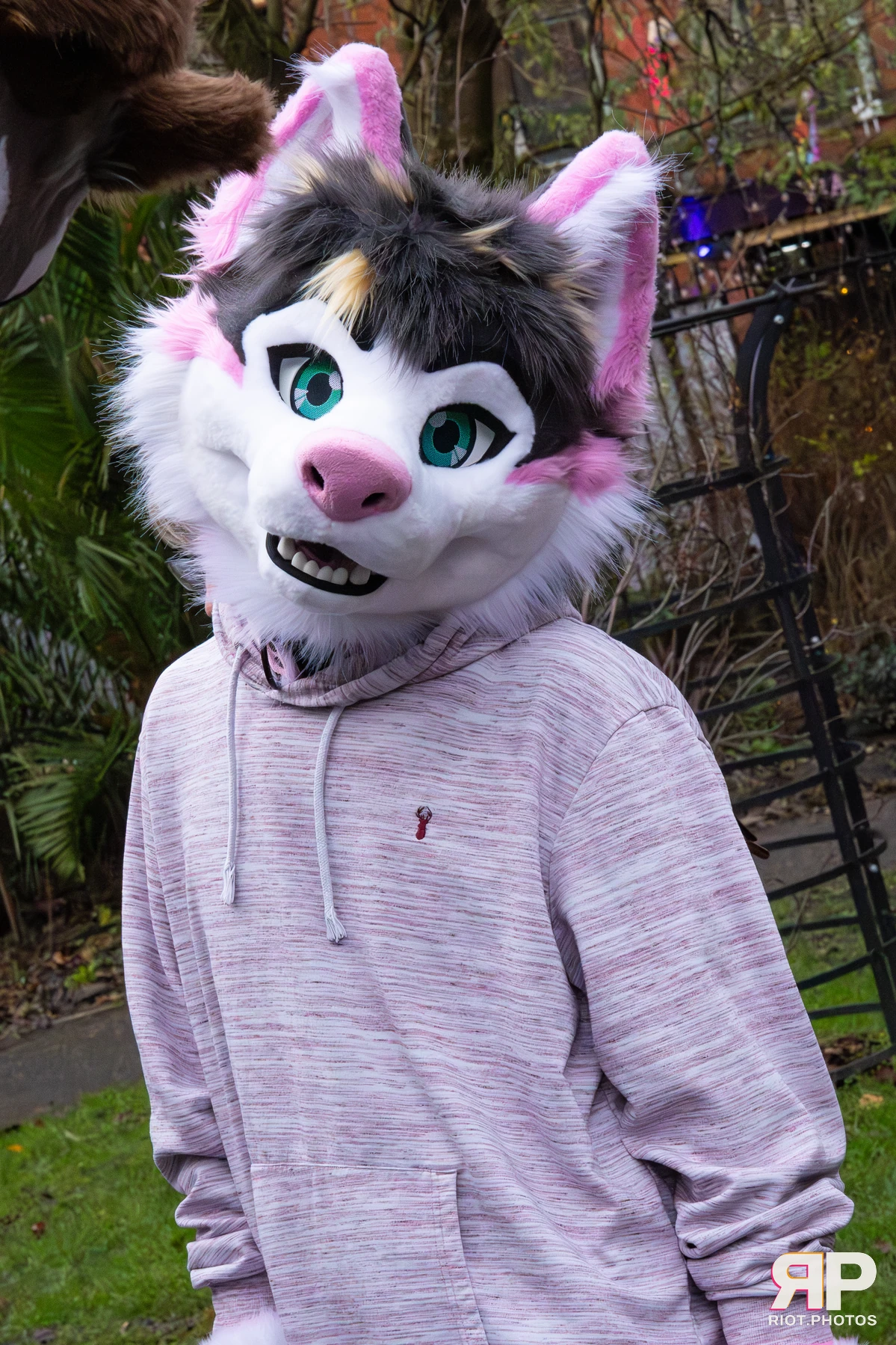 MancFurs - December, 2025 — 13 Dec 2025, Fluffy Riot photography — photo 33