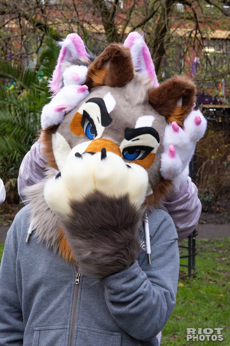 2025-12-13 MancFurs-202512-034.jpg