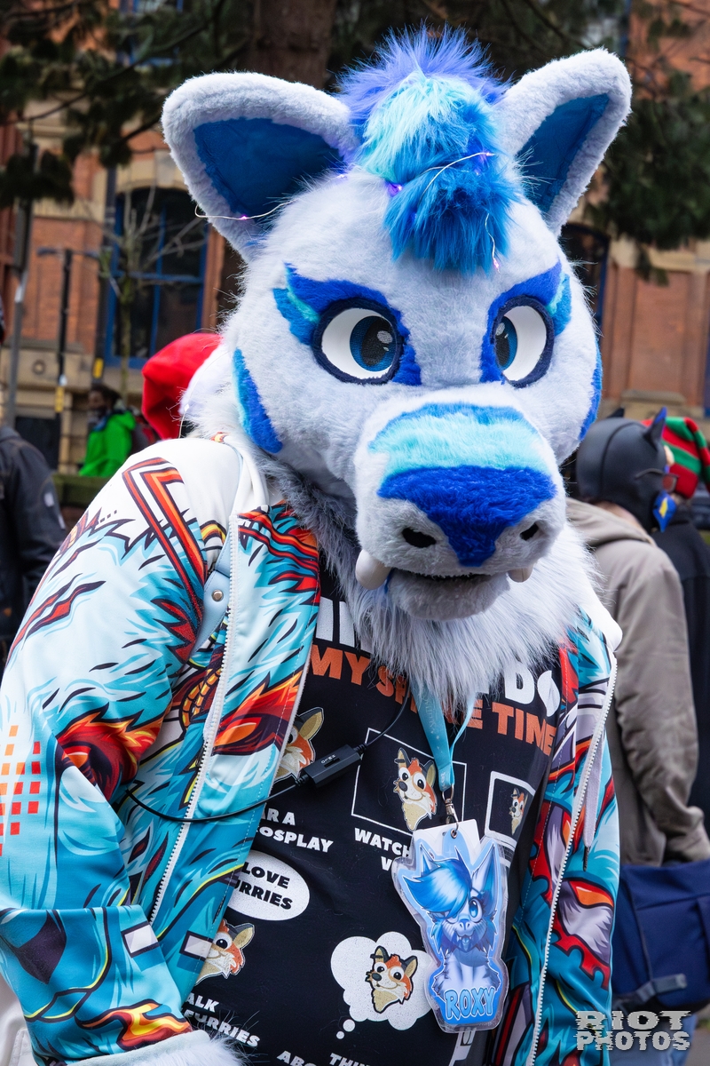 2025-12-13 MancFurs-202512-038.jpg