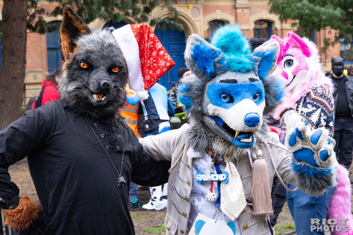 2025-12-13 MancFurs-202512-044.jpg