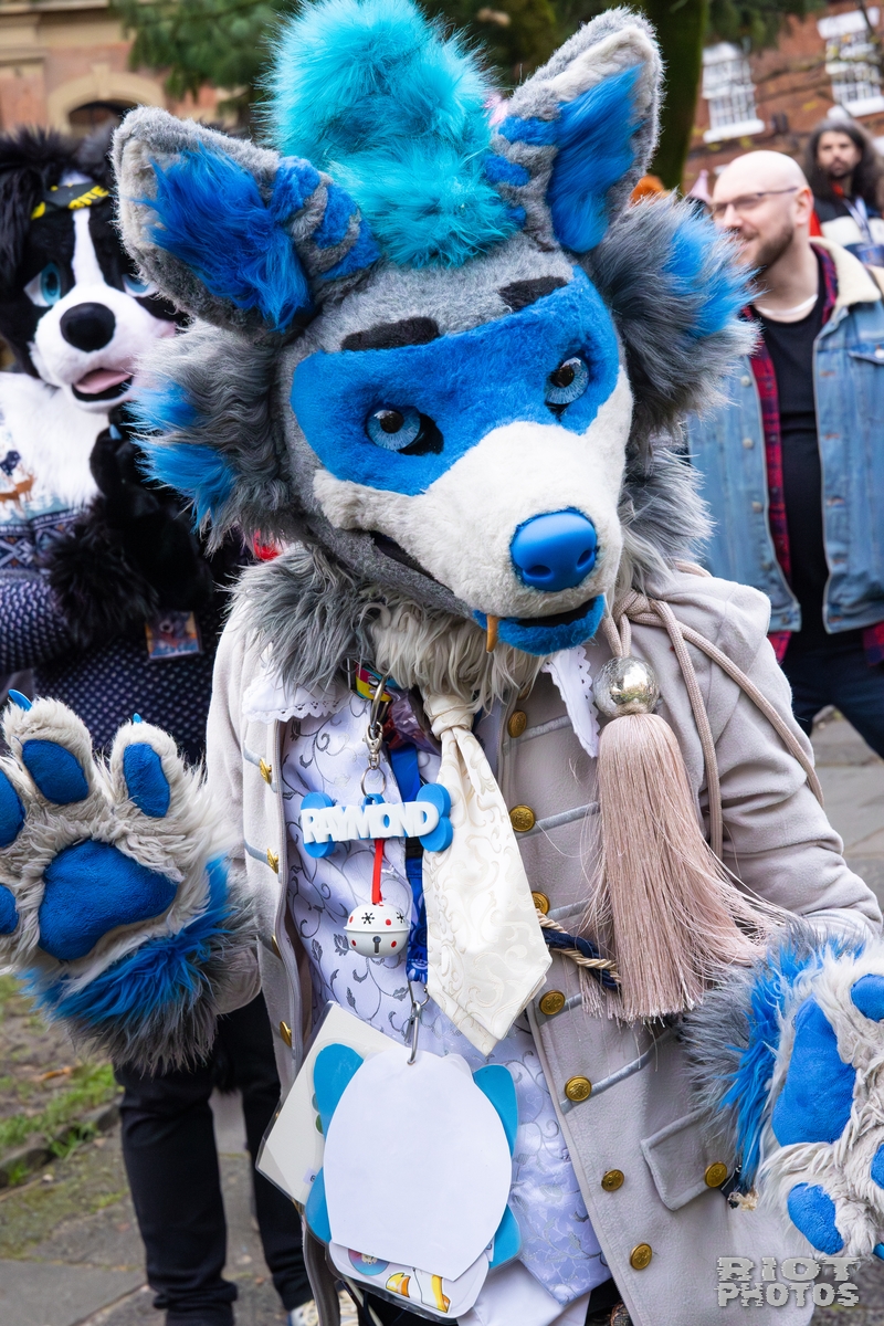 2025-12-13 MancFurs-202512-045.jpg
