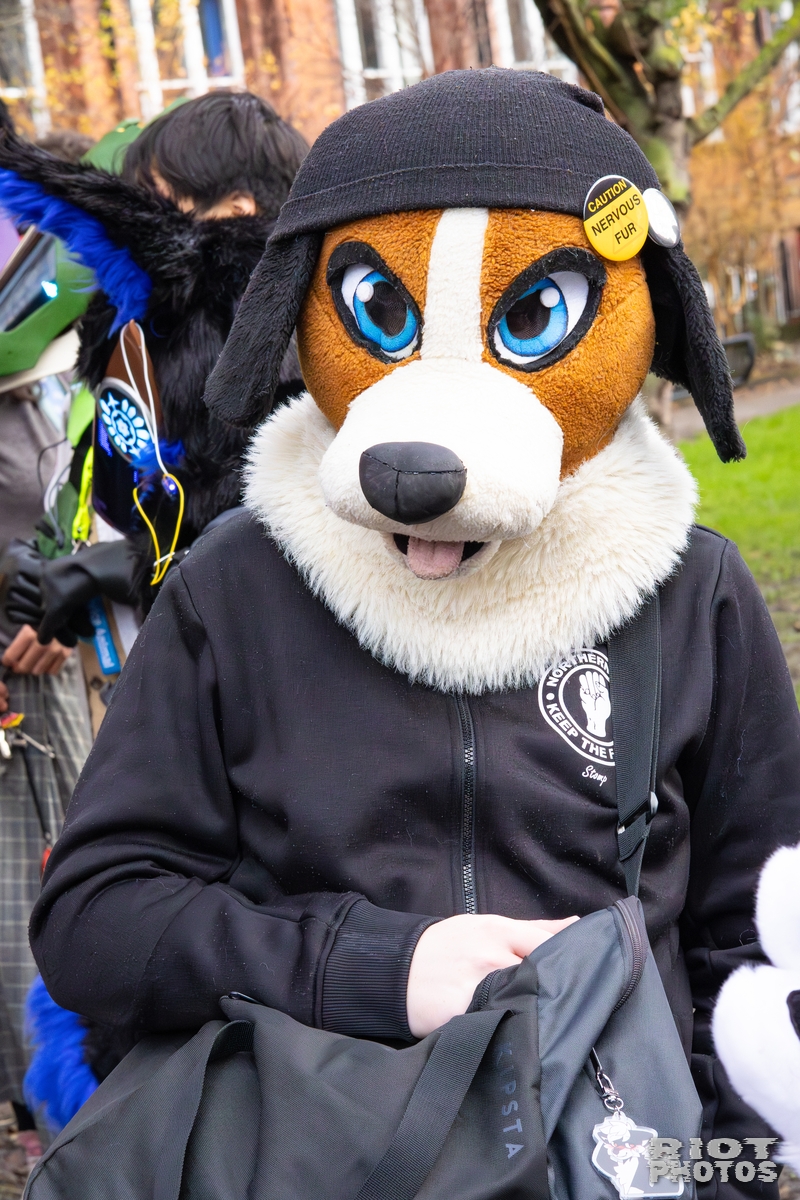 2025-12-13 MancFurs-202512-049.jpg