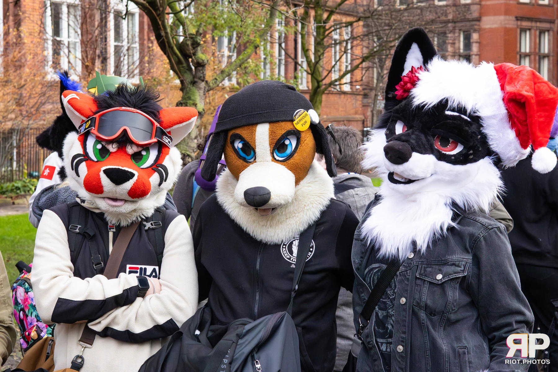MancFurs - December, 2025 — 13 Dec 2025, Fluffy Riot photography — photo 50