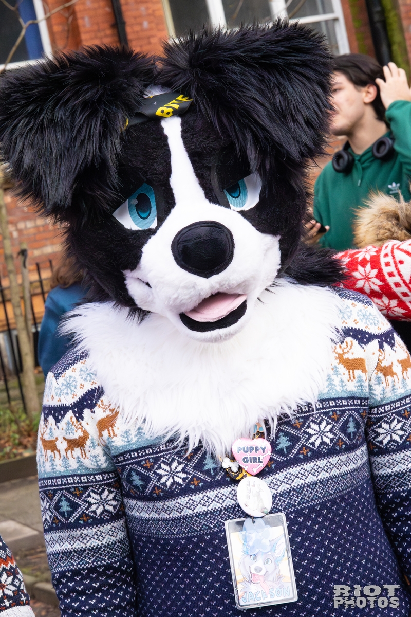 2025-12-13 MancFurs-202512-051.jpg