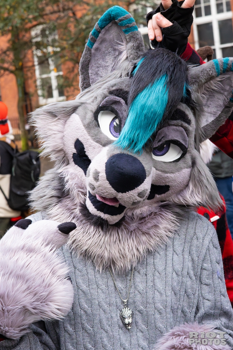 2025-12-13 MancFurs-202512-054.jpg