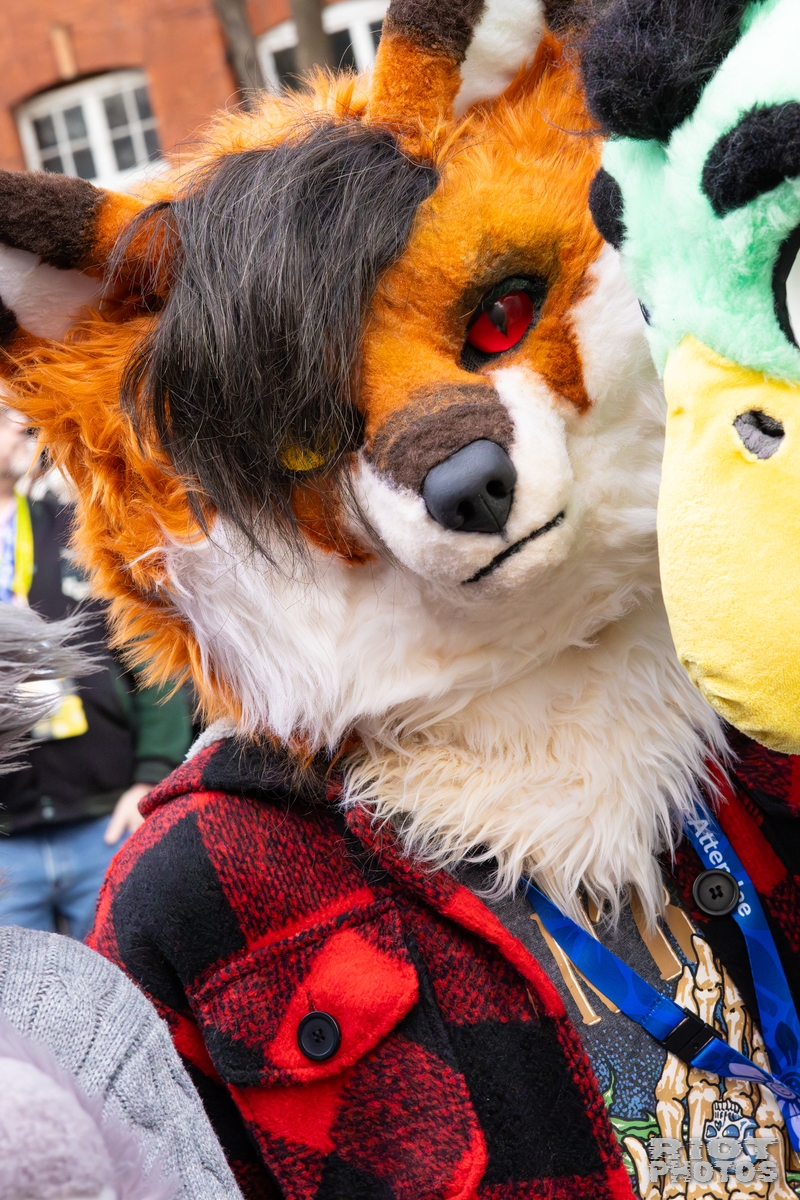 2025-12-13 MancFurs-202512-057.jpg