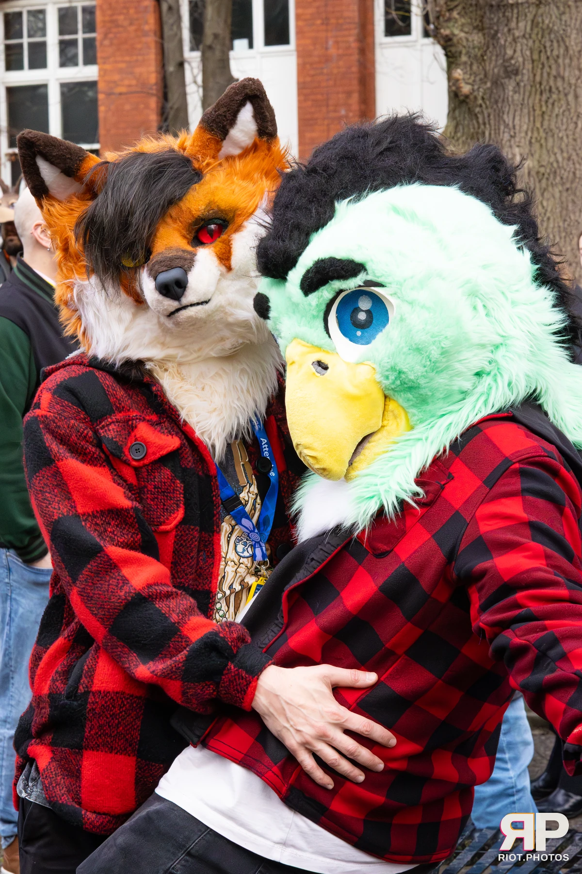 MancFurs - December, 2025 — 13 Dec 2025, Fluffy Riot photography — photo 58