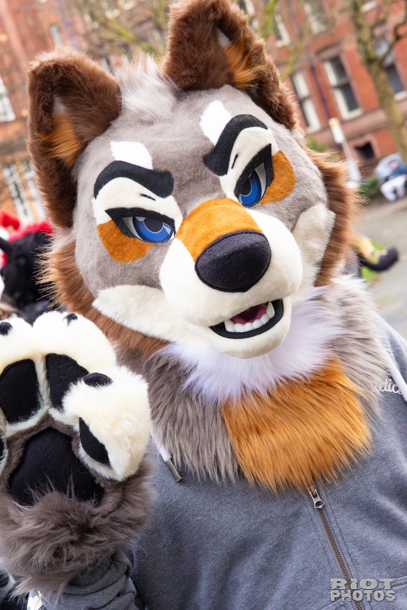 2025-12-13 MancFurs-202512-059.jpg