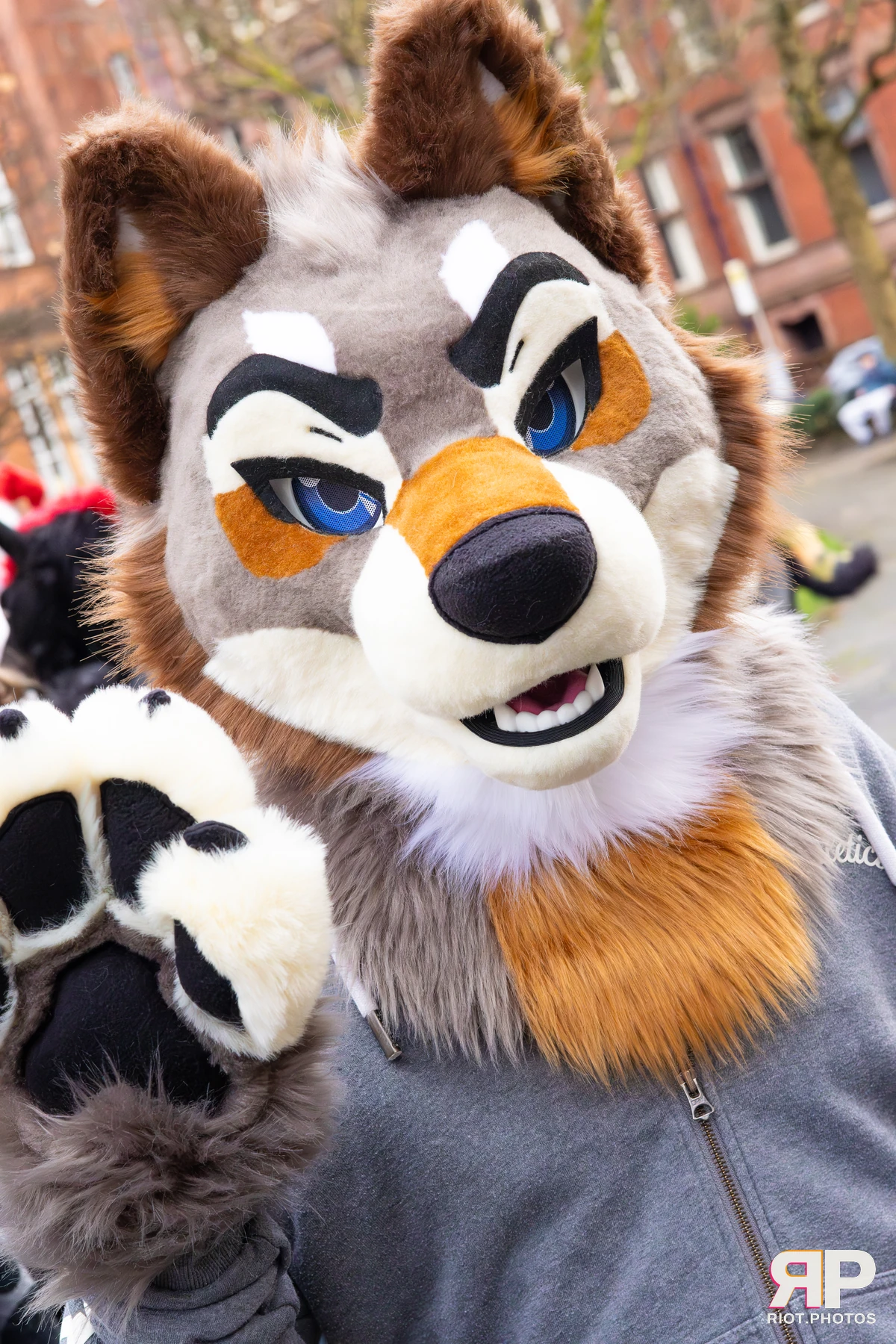 MancFurs - December, 2025 — 13 Dec 2025, Fluffy Riot photography — photo 59