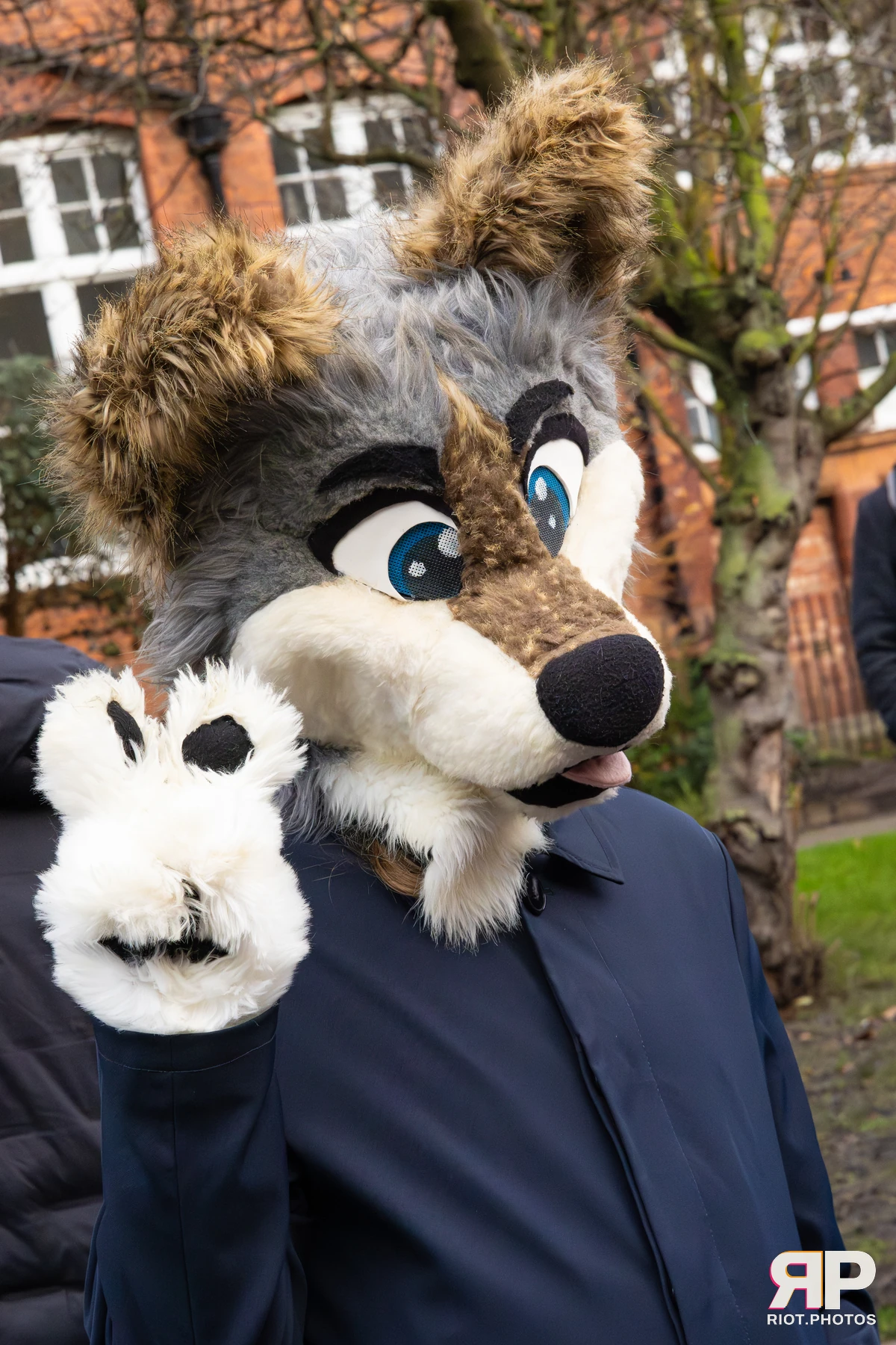 MancFurs - December, 2025 — 13 Dec 2025, Fluffy Riot photography — photo 61