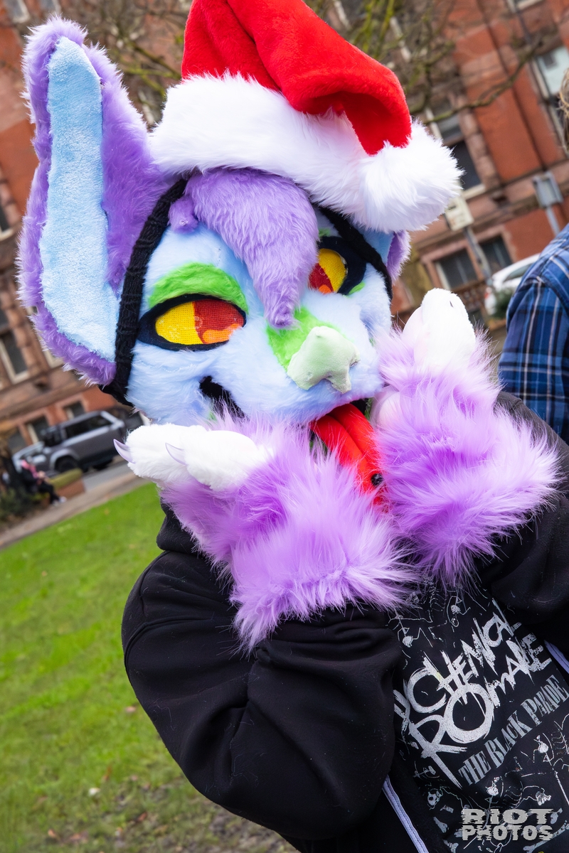 2025-12-13 MancFurs-202512-063.jpg