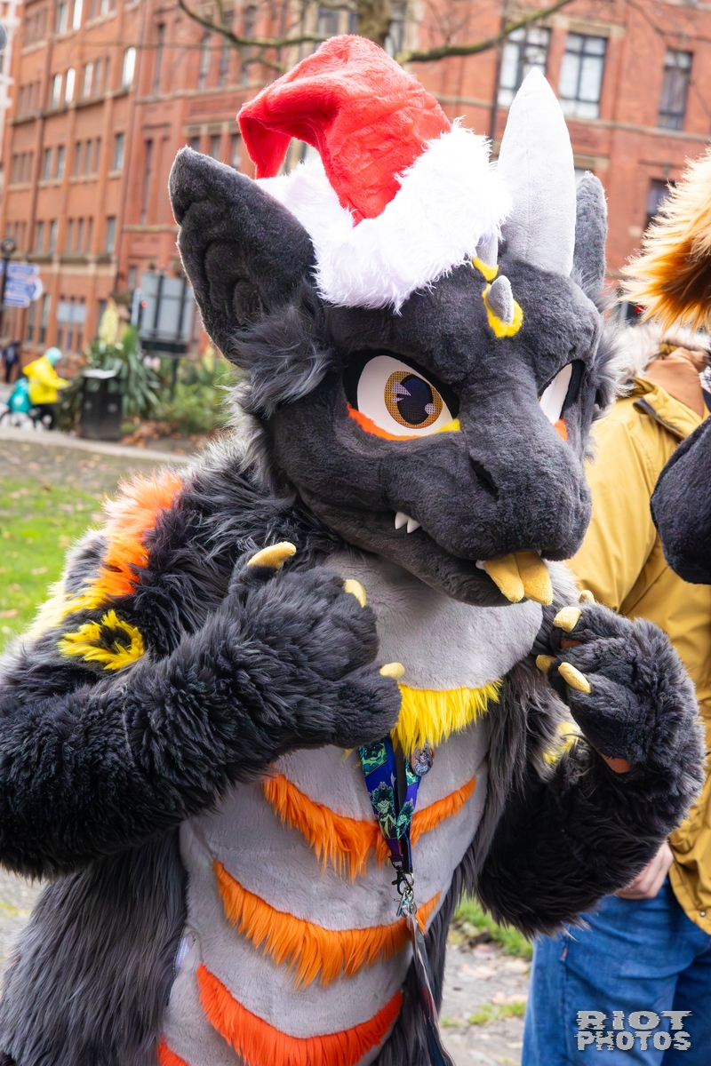 2025-12-13 MancFurs-202512-064.jpg